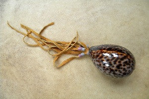 Cowrie Shell Medicine Rattle