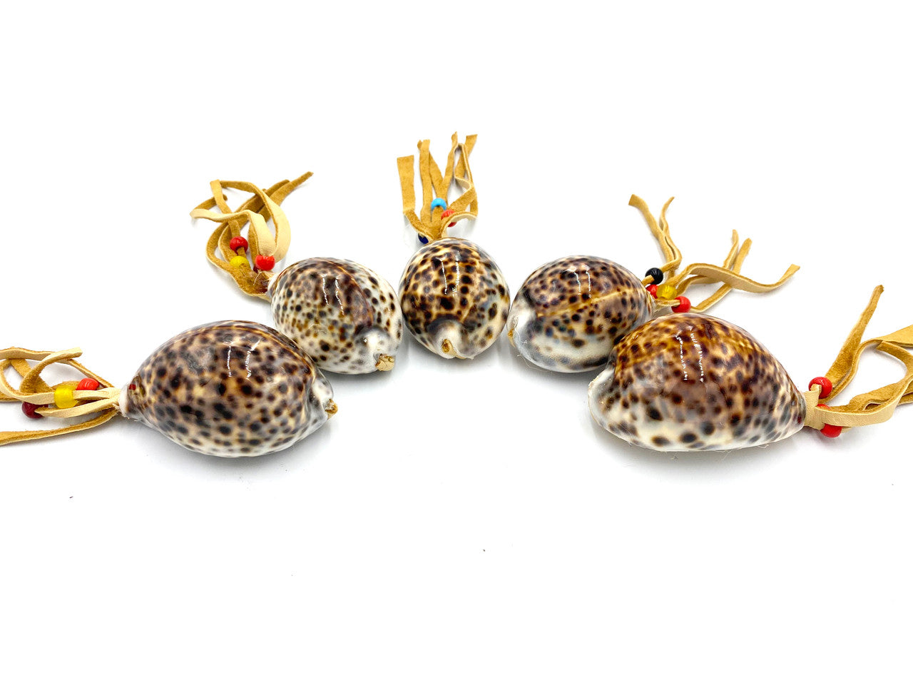 Cowrie Shell Medicine Rattle