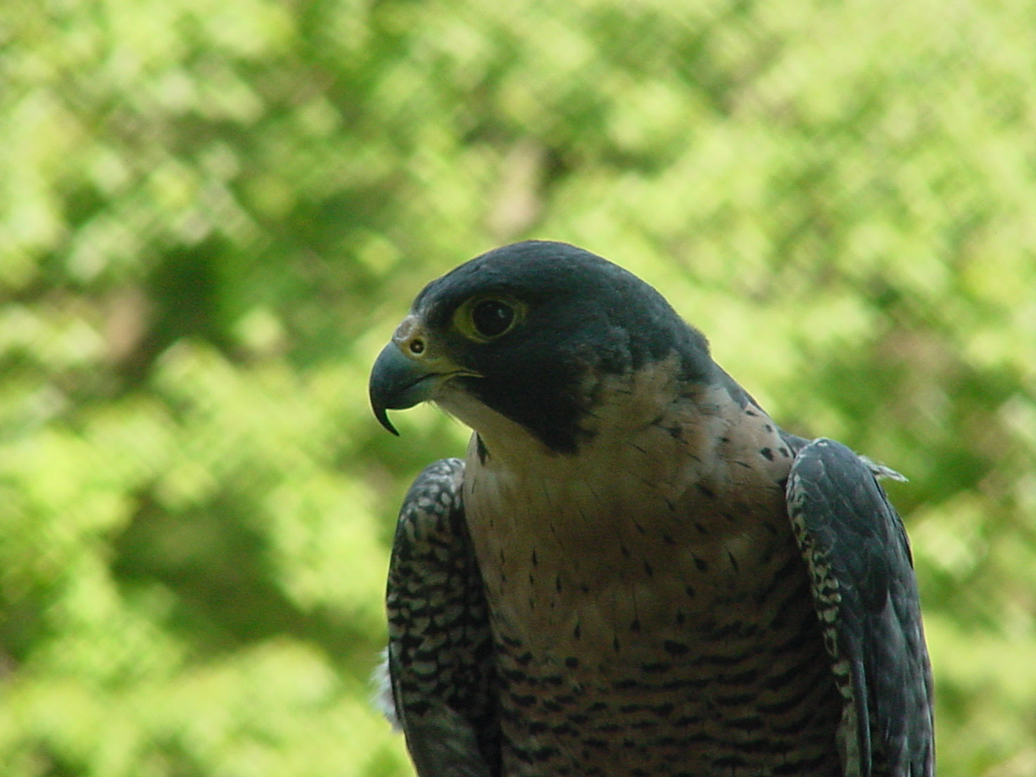 Using Intention and Awareness