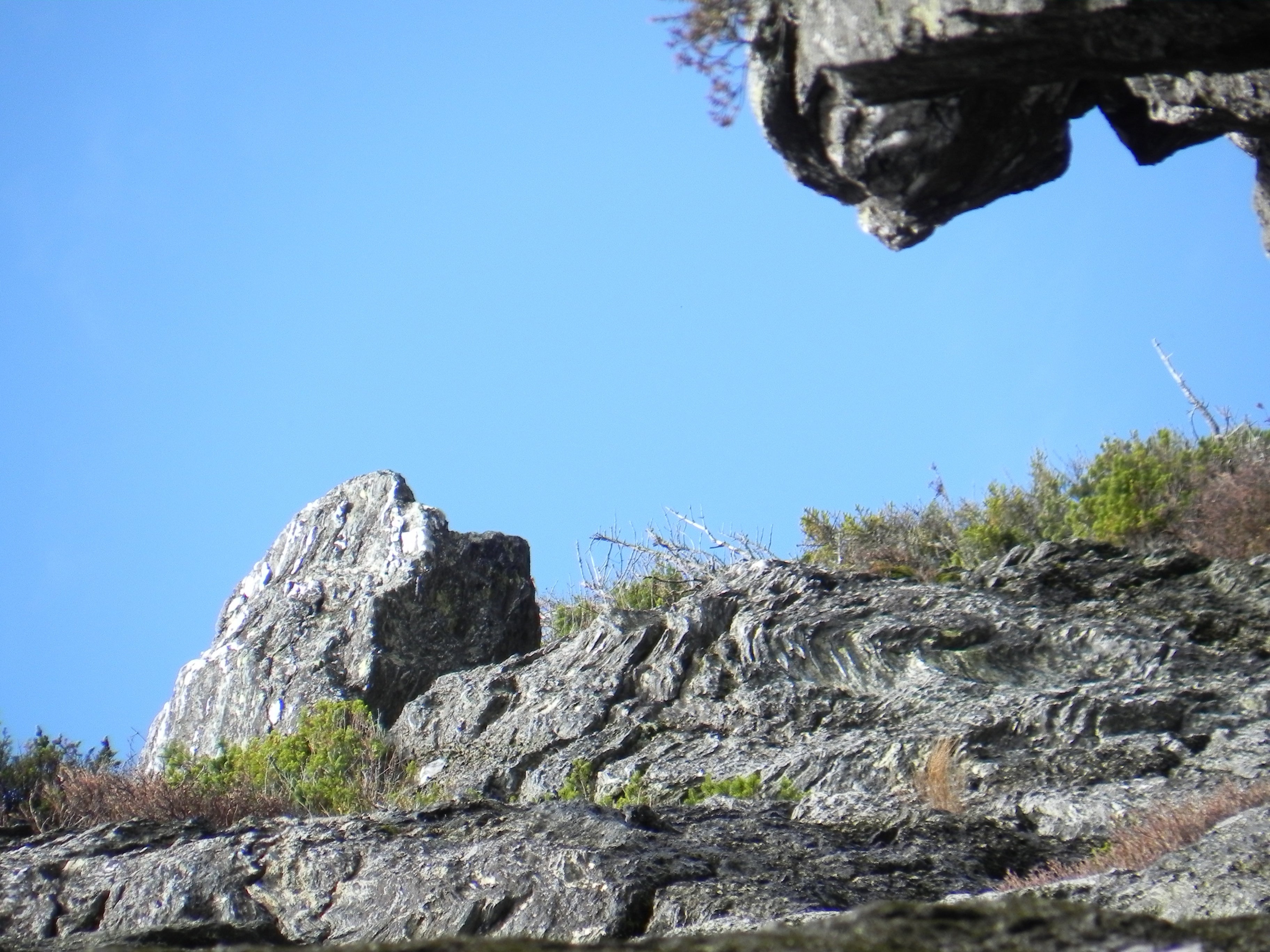 The Two Aspects of Healing