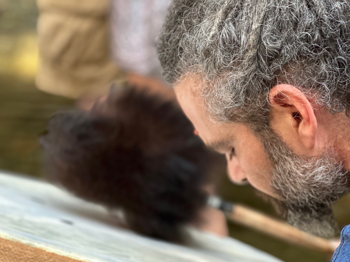 Listening Is the Beginning of Sound Healing