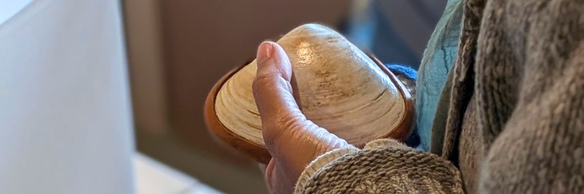 Handheld Shakers