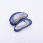 Mussel Rattle