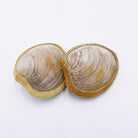 3" Shell Rattles