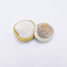 2" Shell Rattle