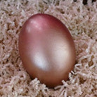 Egg of Creation - Women's Mysteries Rattle - Rose Gold, painted Emu Egg