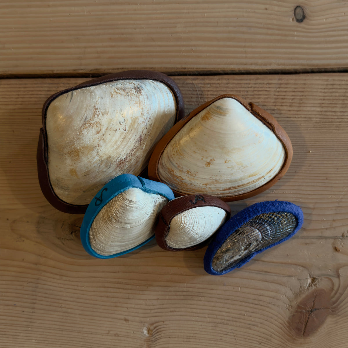 Sea Sound Shell Rattles | Sunreed – Sunreed™ Instruments