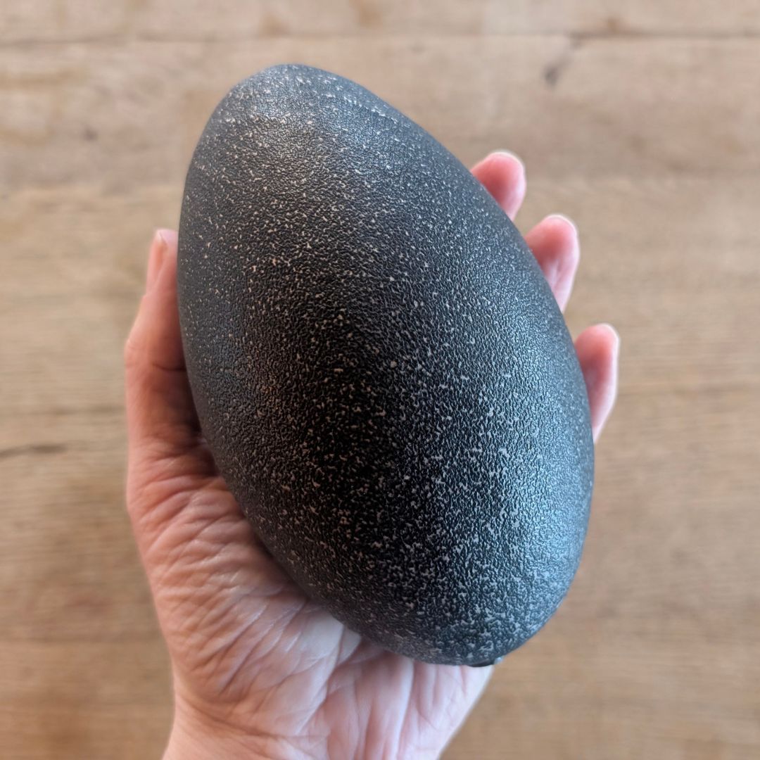 Hand holding a black emu egg rattle above a wooden surface