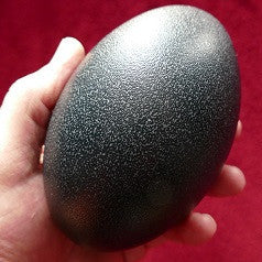 Egg of Creation - Women's Mysteries Rattle - Black, natural, in hand.
