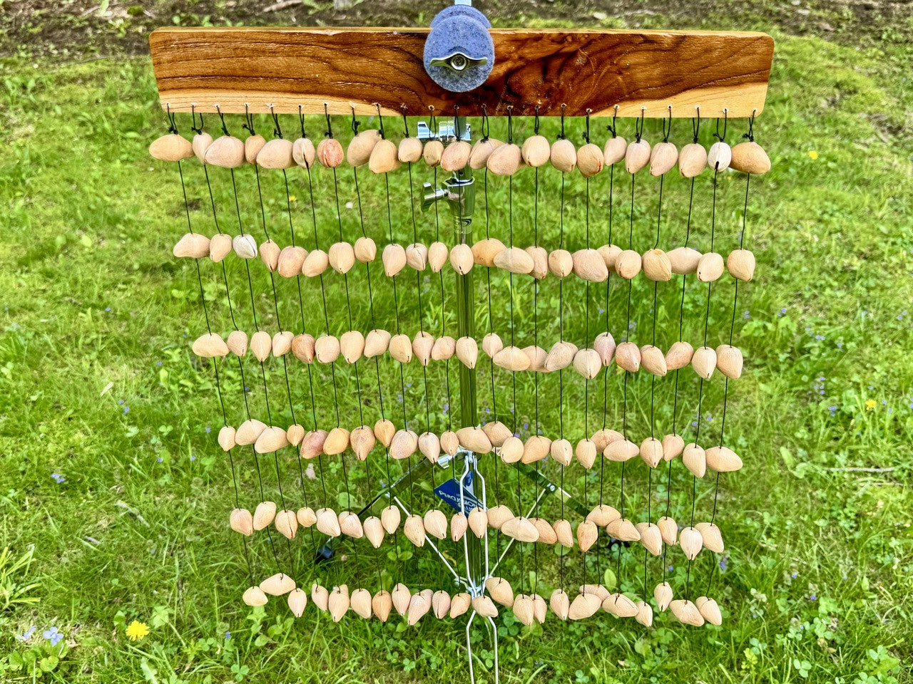 ★ゴールデントリフェーン 12.5ミリ珠ビーズD(大粒！SA~SA+) Balinese Kenari Seed Nutshell Chime | Sunreed – Sunreed® Instruments