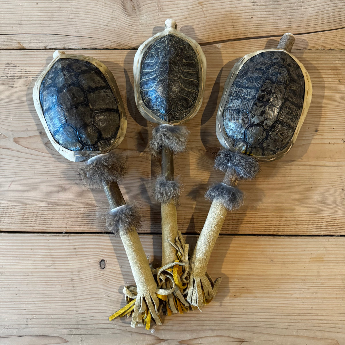 Turtle Shell Rattle | Sunreed – Sunreed™ Instruments